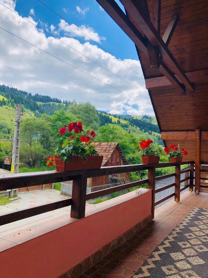 Pensiunea Bucur Damuc Exterior foto